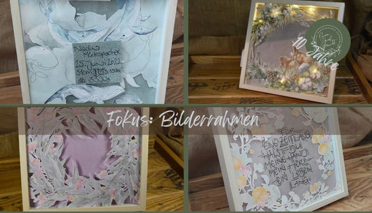 Fokus: Bilderrahmen