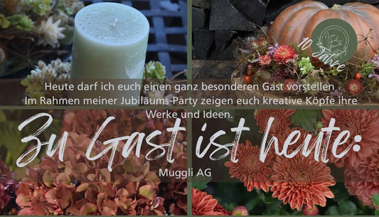Gast-Account – Muggli AG