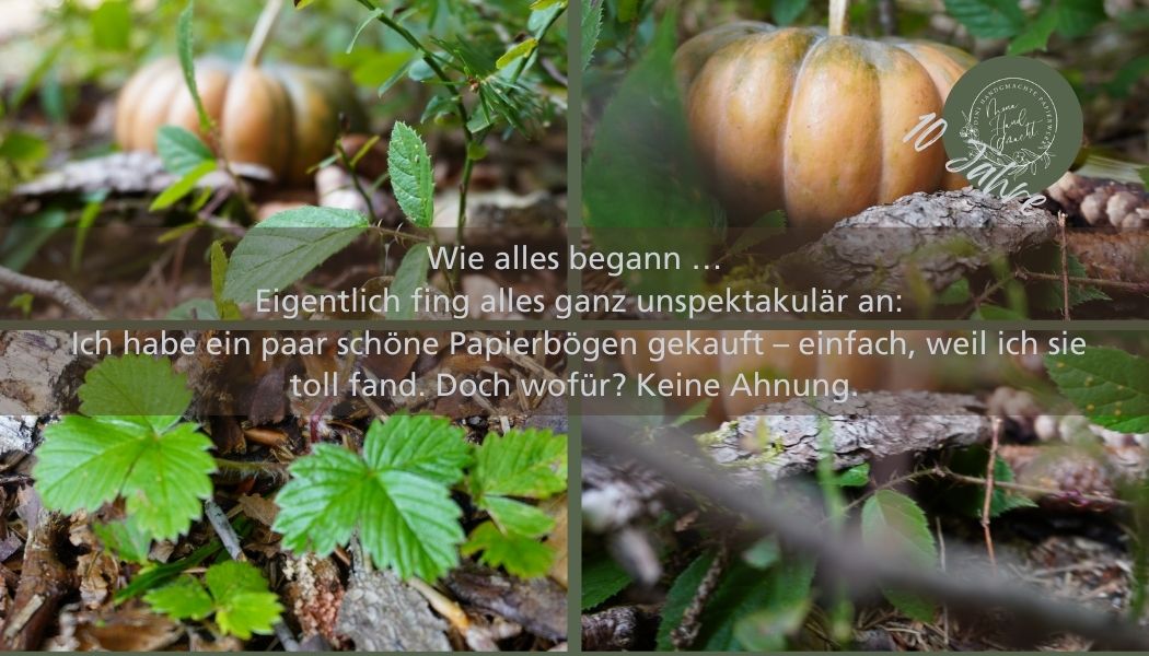 Meine Geschichte – wie alles begann