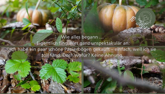 Meine Geschichte – wie alles begann