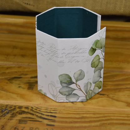 Abschminkpads-Aufbewahrungsbox | Schachtel | mit Abschminkpads | Eucalyptus