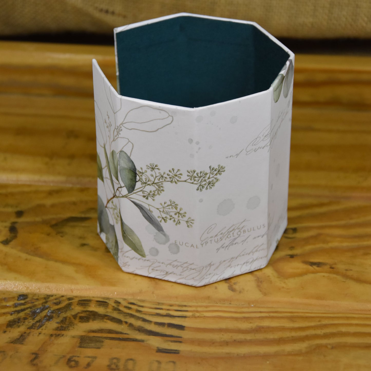 Abschminkpads-Aufbewahrungsbox | Schachtel | mit Abschminkpads | Eucalyptus