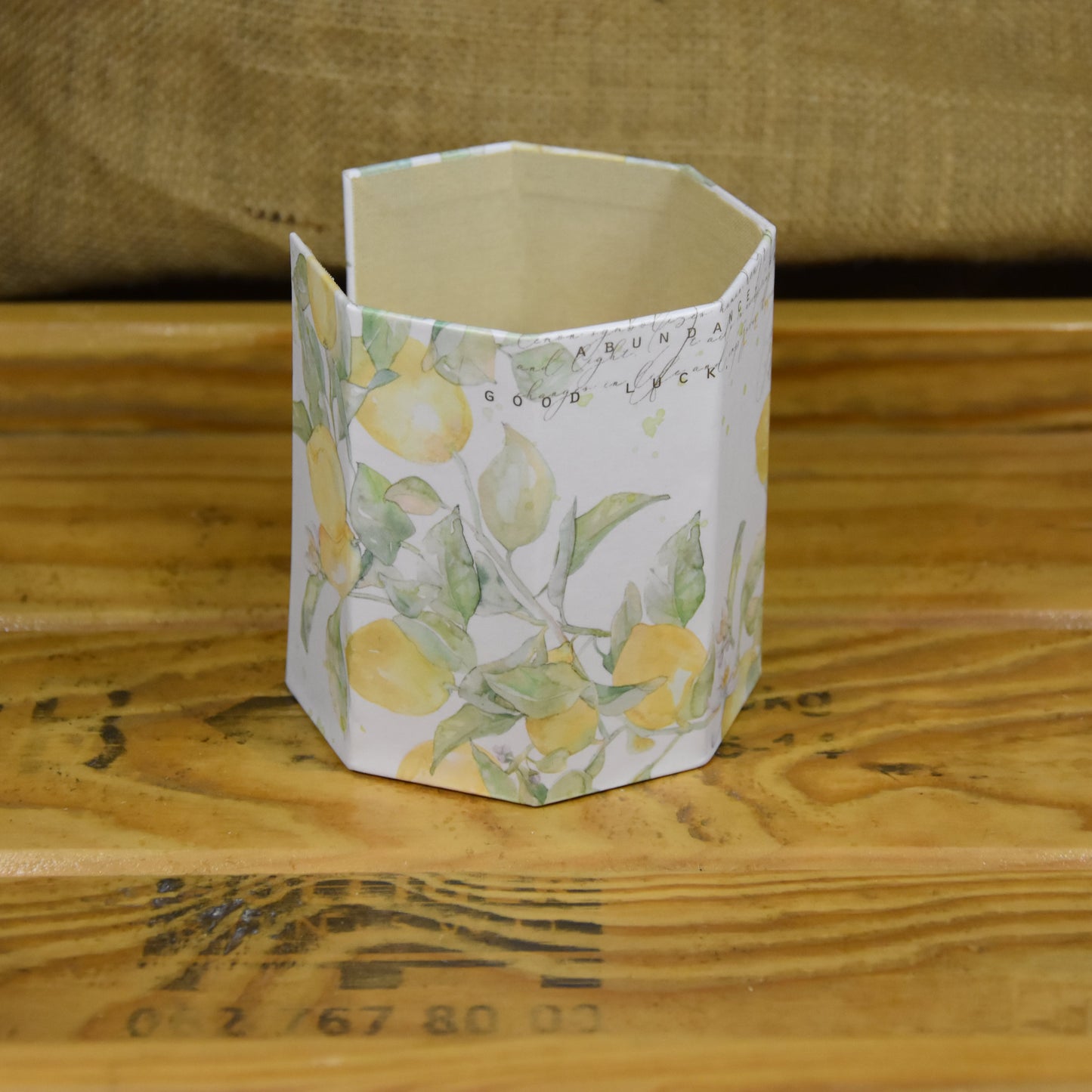 Abschminkpads-Aufbewahrungsbox | Schachtel | mit Abschminkpads | Zitrone