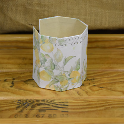 Abschminkpads-Aufbewahrungsbox | Schachtel | mit Abschminkpads | Zitrone