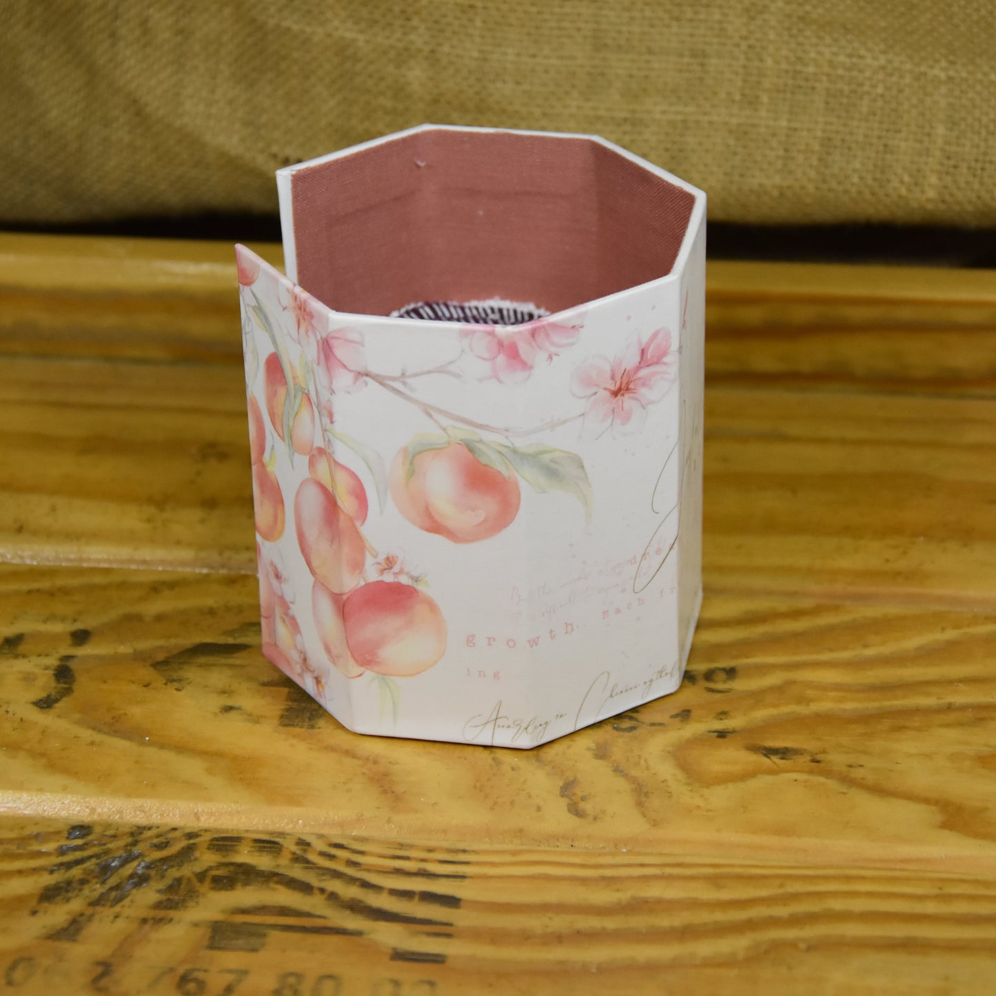 Abschminkpads-Aufbewahrungsbox | Schachtel | mit Abschminkpads | Pfirsich