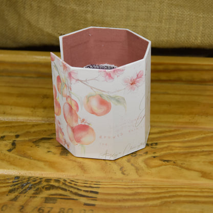 Abschminkpads-Aufbewahrungsbox | Schachtel | mit Abschminkpads | Pfirsich